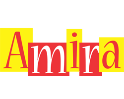 amira errors logo