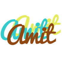 amit cupcake logo