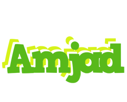 amjad picnic logo