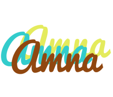 amna cupcake logo