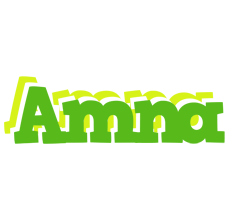 amna picnic logo