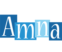 amna winter logo