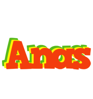 anas bbq logo