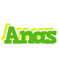 anas picnic logo