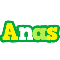 anas soccer logo