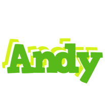 andy picnic logo