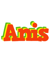 anis bbq logo