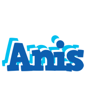 anis business logo