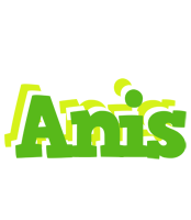 anis picnic logo