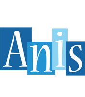 anis winter logo