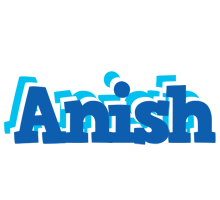 anish business logo