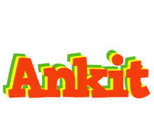 ankit bbq logo