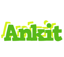 ankit picnic logo