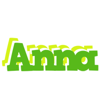 anna picnic logo