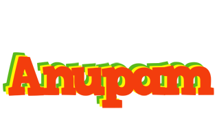 anupam bbq logo