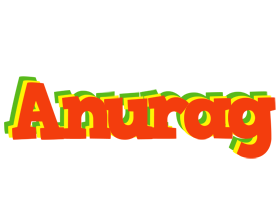 anurag bbq logo