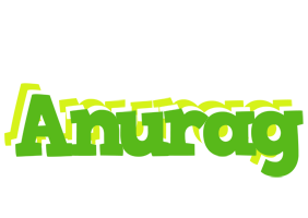 anurag picnic logo