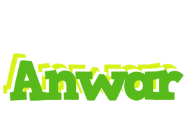 anwar picnic logo