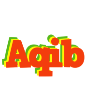 aqib bbq logo