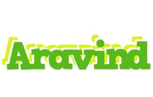 aravind picnic logo