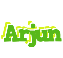 arjun picnic logo