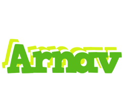 arnav picnic logo