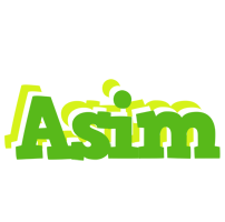 asim picnic logo