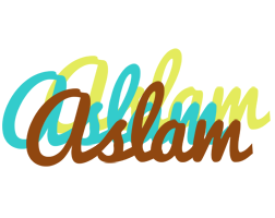 aslam cupcake logo