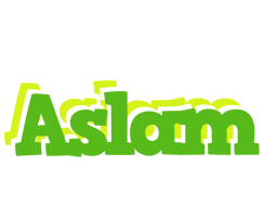 aslam picnic logo