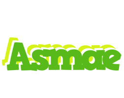 asmae picnic logo