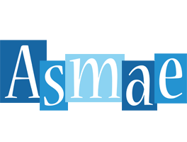 asmae winter logo