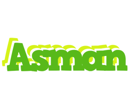 asman picnic logo