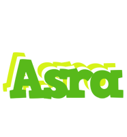 asra picnic logo