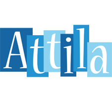 attila winter logo