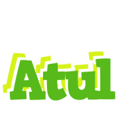 atul picnic logo