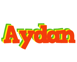 aydan bbq logo