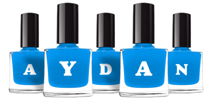 aydan glossy logo