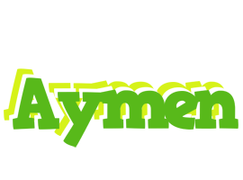 aymen picnic logo