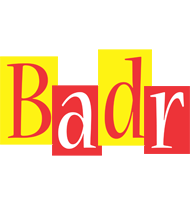 badr errors logo