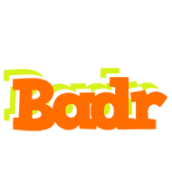 badr healthy logo