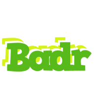 badr picnic logo