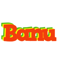 banu bbq logo