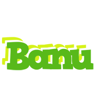 banu picnic logo