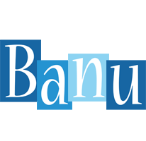 banu winter logo