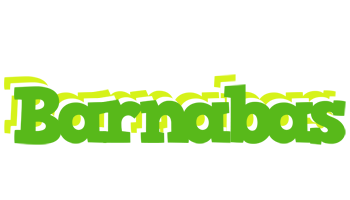 barnabas picnic logo