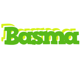 basma picnic logo