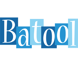 batool winter logo
