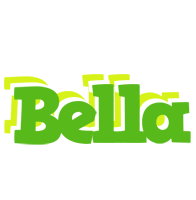 bella picnic logo