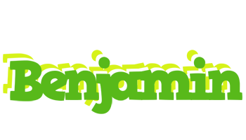 benjamin picnic logo