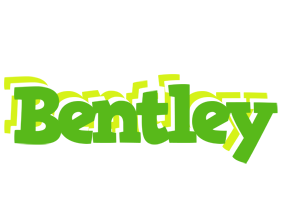 bentley picnic logo